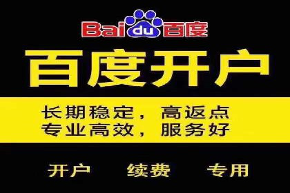 百度包年竞价案例分享：提升网站流量的秘诀